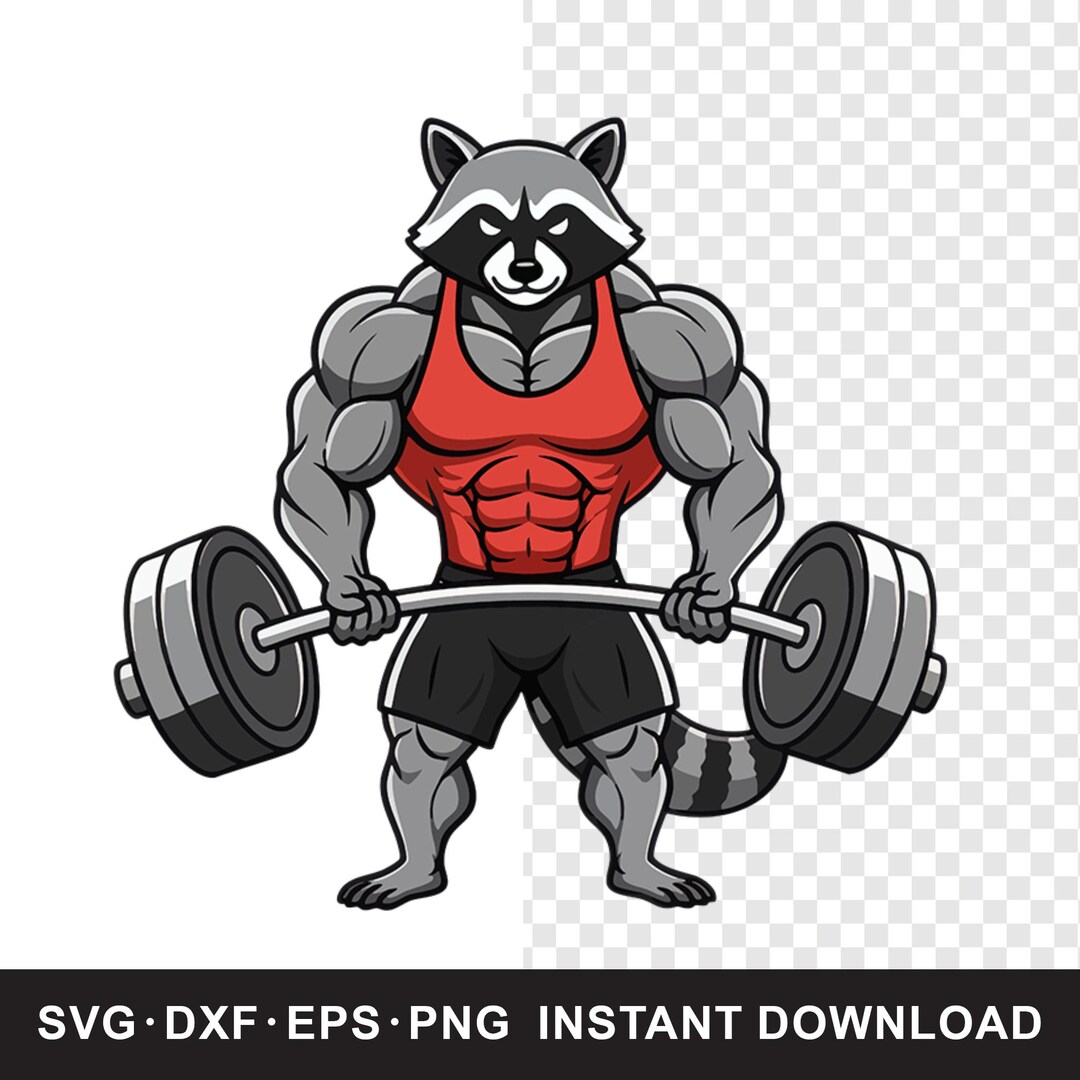 Bodybuilder Raccoon Clipart, Powerlifting Weightlifting Gym Workout ...
