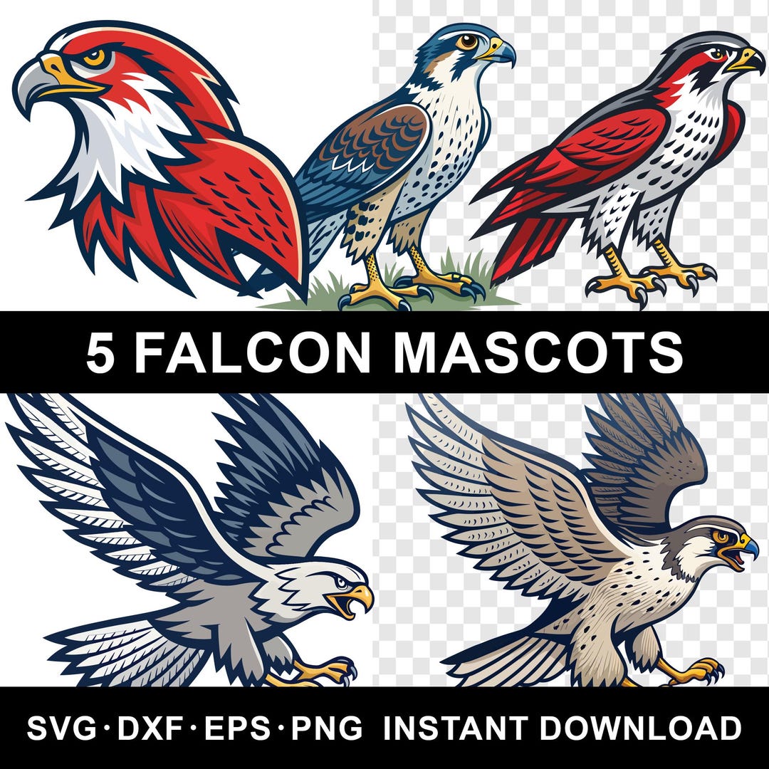 Falcon Mascot SVG Vector Bundle: Sport Logo Designs (digital Download ...