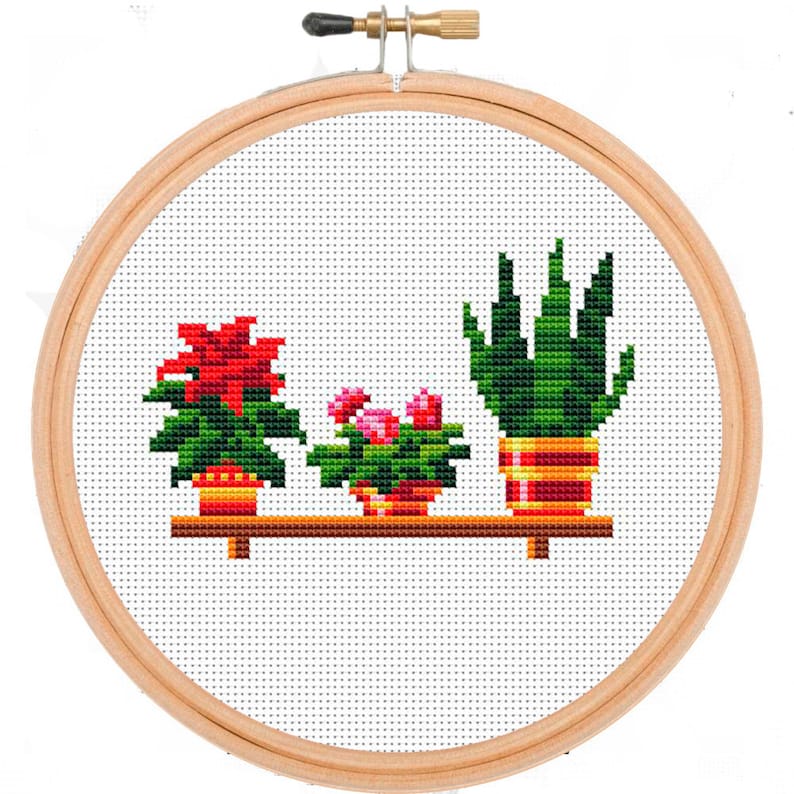 Plants cross stitch Succulent Cross Stitch pattern PDF | Etsy