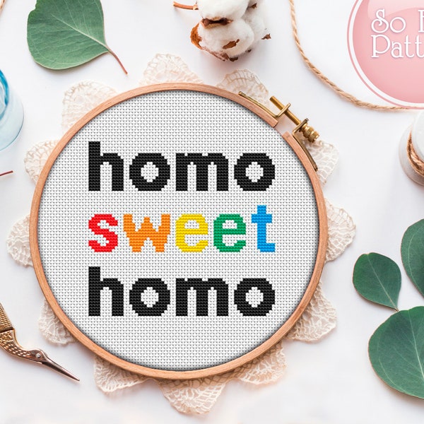 Homo Sweet Homo Cross Stitch Pattern Pdf Easy cross stitch pattern Rainbow cross stitch LGBT Gift House warming gift Modern xstitch