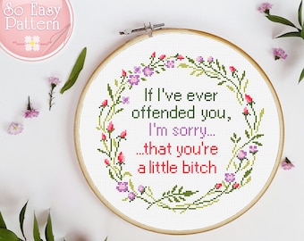 Quote Cross Stitch Pattern If I've ever offended you I'm sorry little bitch Rude Cross Stitch PDF pattern Subversive cross stitching