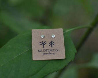 Pendientes pequeños de plata de ley con forma de disco / Joyería minimalista