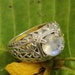 Moonstone Ring Sterling Silver Statement Ring Half Moon Ring image 0