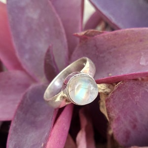 Op de afbeelding: Een zilveren ring met een ronde, iriserende maansteen in het midden. De ring ligt op een bed van paarse bladeren.