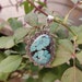 Natural Turquoise Pendant 925 Silver Pendant December image 0