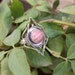 Natural Rhodochrosite Ring Sterling Silver Promise Ring image 0