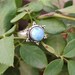 Larimar Ring Sterling Silver Dominican Larimar Elegant Ring image 0