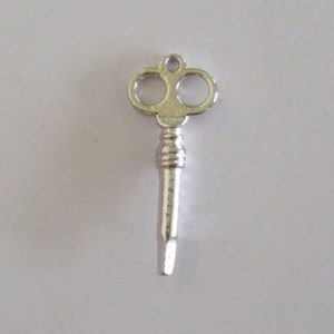 May include: A silver-toned key with a double-looped head and a long, thin shaft.