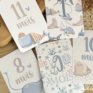Cartes étapes bébé de la mer - Animaux - baleine - océan - naissance - photos souvenirs bébé - Première année bébé - cadeau grossesse image 7