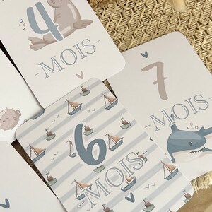 Cartes étapes bébé de la mer - Animaux - baleine - océan - naissance - photos souvenirs bébé - Première année bébé - cadeau grossesse image 6