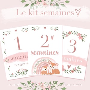 Cartes étapes bébé 1 ère année Rosé // arc-en-ciel // fleurs // mois anniversaires // rose image 9