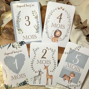 Cartes étapes bébé "César" - Animaux - jungle - savane - naissance - photos souvenirs bébé - Première année bébé - cadeau grossesse image 4