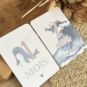 Cartes étapes bébé de la mer - Animaux - baleine - océan - naissance - photos souvenirs bébé - Première année bébé - cadeau grossesse image 4