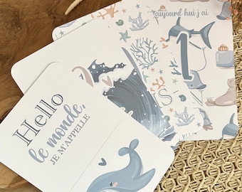 Cartes étapes bébé de la mer - Animaux - baleine - océan - naissance - photos souvenirs bébé - Première année bébé - cadeau grossesse