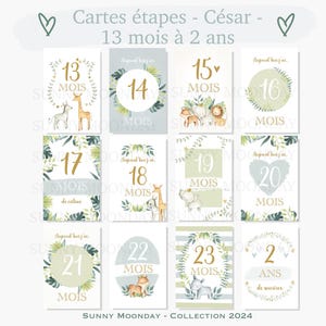 Cartes étapes bébé "César" - Animaux - jungle - savane - naissance - photos souvenirs bébé - Première année bébé - cadeau grossesse 13 mois à 2 ans