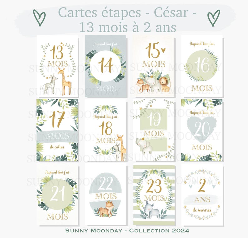 Cartes étapes bébé "César" - Animaux - jungle - savane - naissance - photos souvenirs bébé - Première année bébé - cadeau grossesse 13 mois à 2 ans