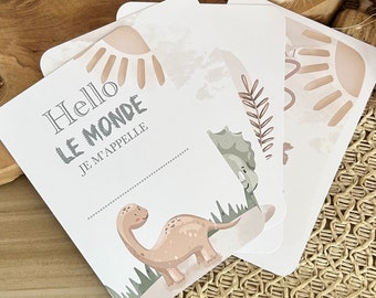 Cartes étapes bébé Dinosaures - Animaux - jungle - savane - naissance - photos souvenirs bébé - Première année bébé - cadeau grossesse