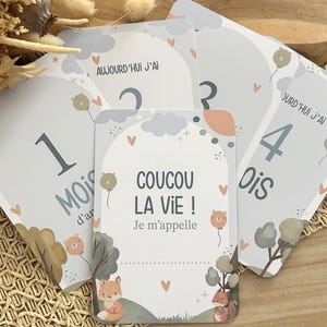 Baby milestone cards Enchanted Forest - Fox - animals - teddy bear - sun - Baby's first year - Birthday months - 1st year - pregnancy