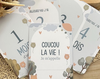 Cartes étapes bébé Forêt enchantée - Renard - animaux - ourson - soleil - Première année bébé - Mois anniversaires - 1ère année - grossesse