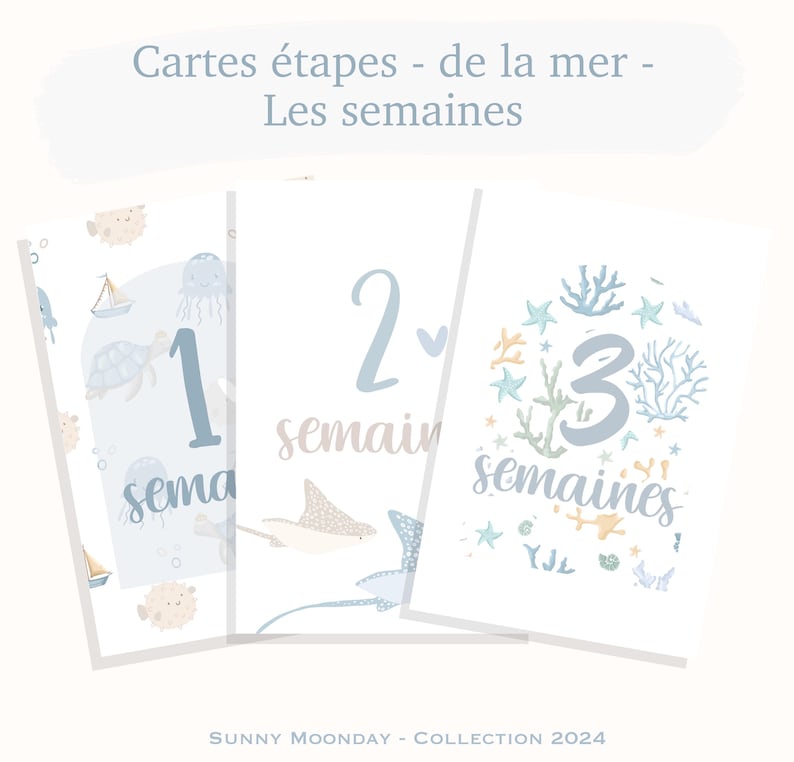 Cartes étapes bébé de la mer - Animaux - baleine - océan - naissance - photos souvenirs bébé - Première année bébé - cadeau grossesse image 3