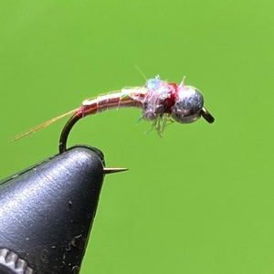 6-Rainbow Warriors, Euro Nymphing Fly, Bead head, Tightline Nymphing, Fishing Flies