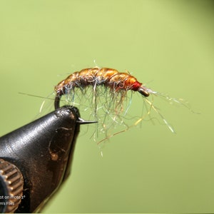 6-  Scud Nymphs, Unweighted Flies, Hand Tied Flies