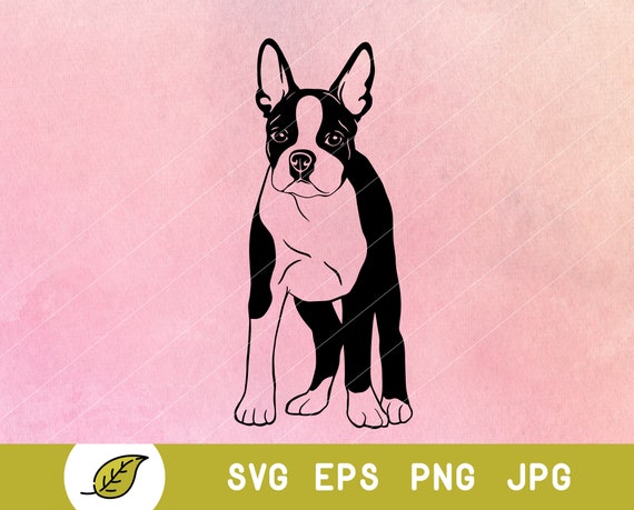 Download Boston Terrier Svg Dog Svg Dog Clipart Dog Silhouette Svg Etsy Yellowimages Mockups