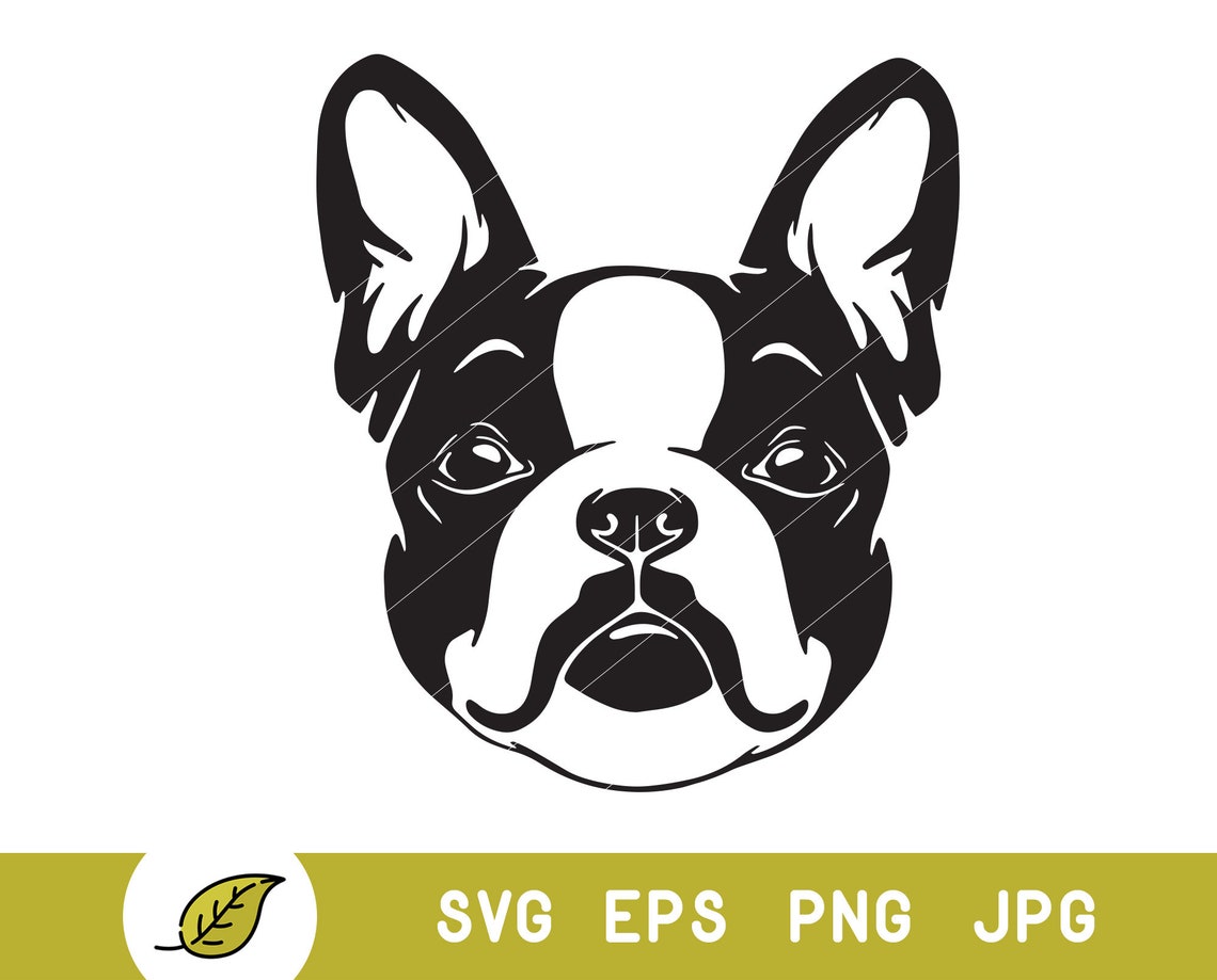 Dog svg boston terrier svg dog outline svg puppy svg file | Etsy
