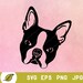 Boston Terrier Svg, Dog Face Svg, Dog Svg, Animal Face Svg, Dog Clipart