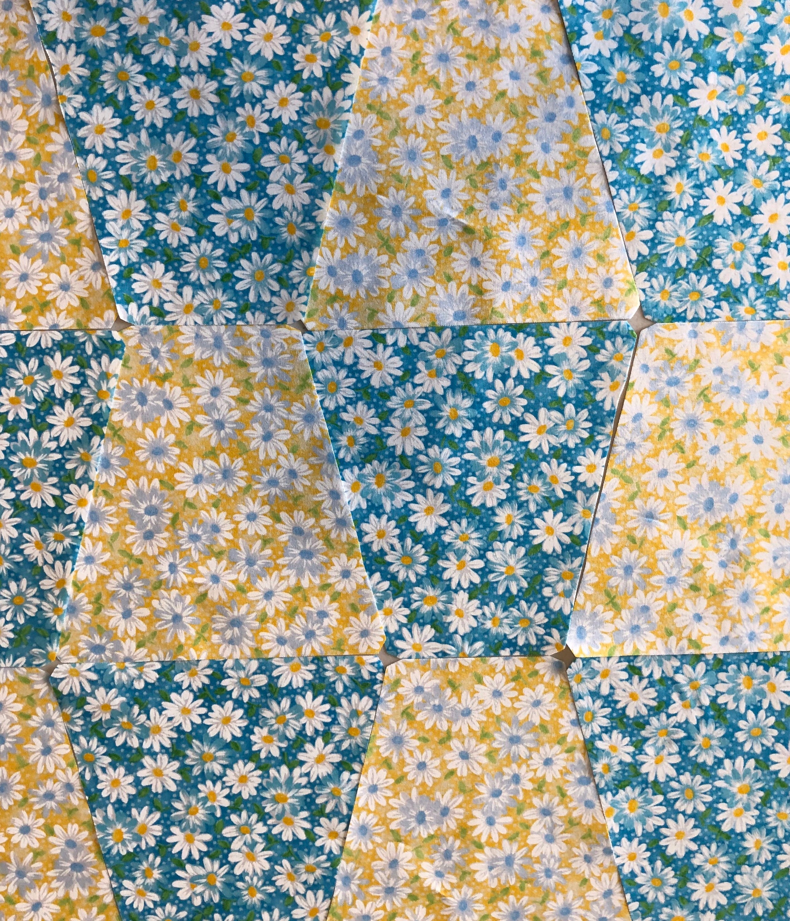 Quilt Kit For Beginners Precut Lap Quilt Flower Lover Etsy