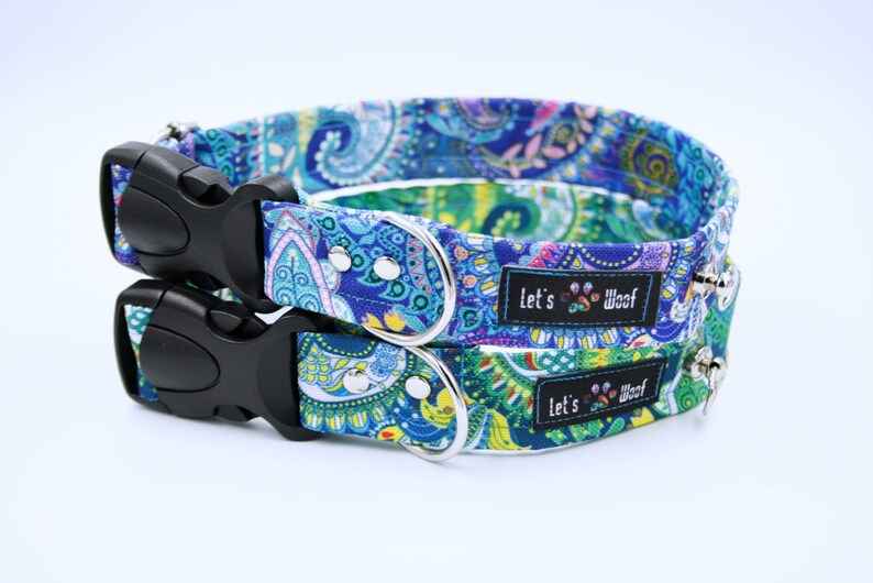 most beautiful dog collars