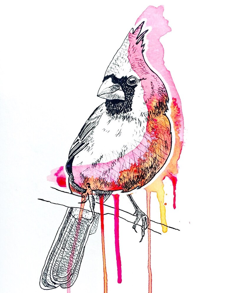 May include: A watercolor painting of a cardinal perched on a branch. The bird is drawn in black ink and has a pink and orange wash of color. The background is white with pink and yellow watercolor drips.