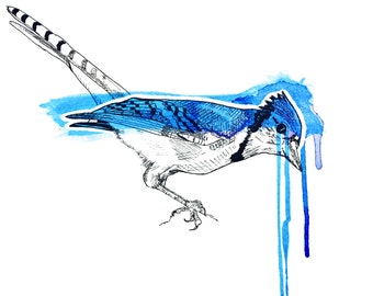 BLUE JAY Print, art, abstract art, painting, art print, wall art, home decor, animals, water color, acrylic, oil pastel, bird, unique, gift