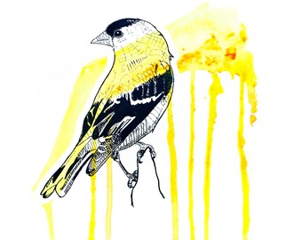 AMERICAN GOLDFINCH Print, art, abstract art, painting, art print, wall art, home decor, animals, water color, acrylic, bird, unique, gift