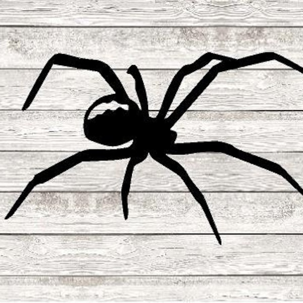 spider decal /Vinyl Decal/Kids room/ Yeti Decal/ glass Block Decal/ Car Decal