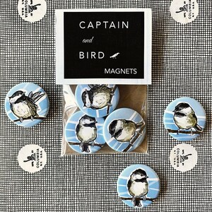 May include: A set of six blue and white round magnets featuring a black and white illustration of a bird. The magnets are packaged in a clear plastic bag with a white label that reads "CAPTAIN and BIRD MAGNETS".