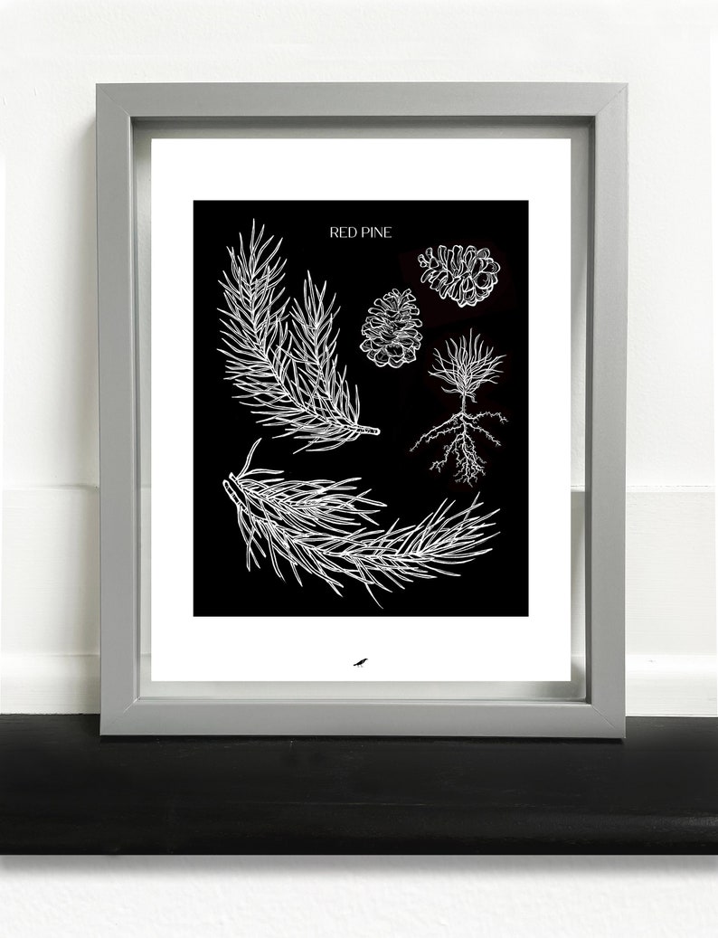 Red Pine Art Print afbeelding 1