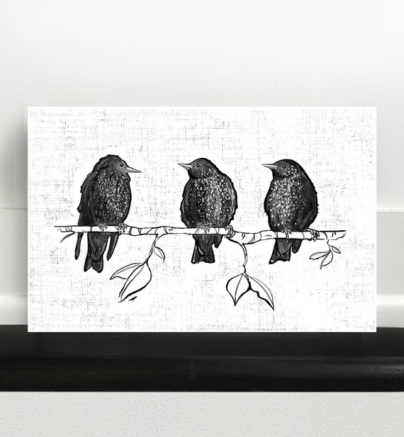 Starlings Birds Art Print
