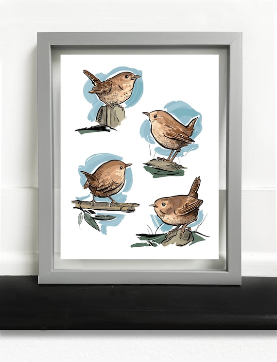 House Wren Art Print