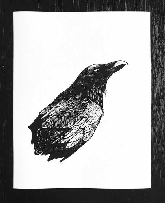 Corvus #2 - Crow Pen and Ink Art Print