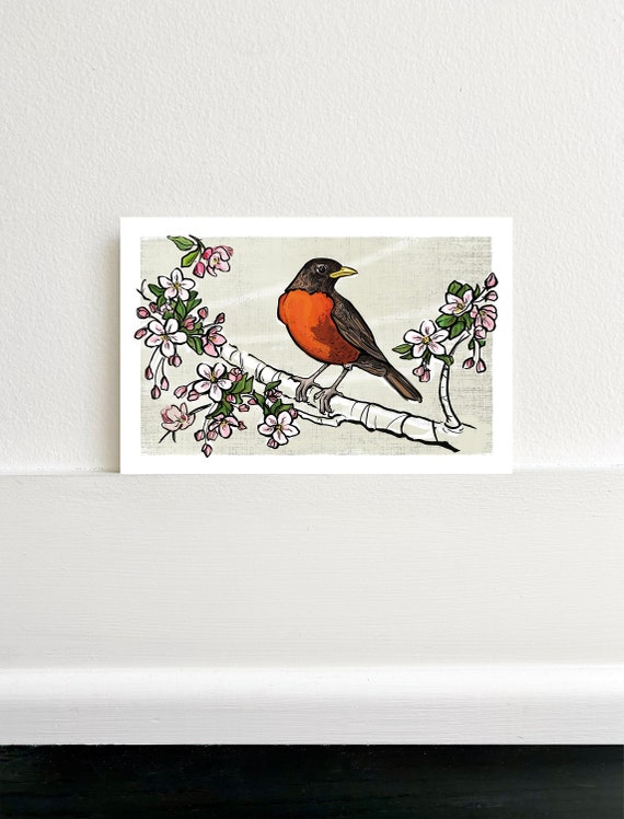 Robin Apple Blossom Art Print