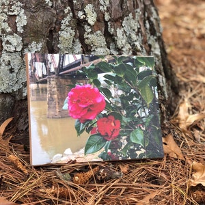 8x10 Stretch Canvas|| Wall Art|| Custom Canvas|| Gift Idea|| Canvas Print