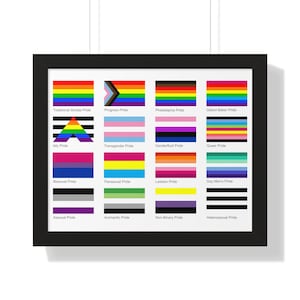 Gorgeous Updated Pride Flag Chart Instant Download Bundle Inclusive Ally Ace Aro Trans Queer Hetero - includes all formats vector and raster