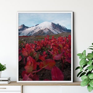 Fine Art Mountain Photography Print Mt Rainier Art Mountain Print Pacific Northwest Wall Art PNW Art PNW Home Decor Cabin Wall Art