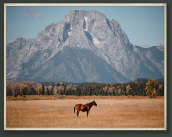 Grand Teton Horse Photography Print, Wyoming Western Wall Art
