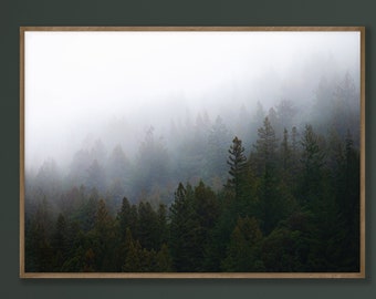 Moody Forest Photography Print: Pacific Northwest Cabin Wall Art