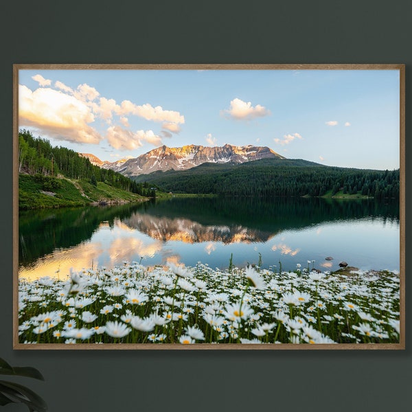 Telluride Colorado Mountain Photography Print Rocky Mountain National Park Colorado Photography Mountain Print San Juan Mountain Wildflowers