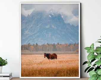 Wild Horse Fine Art Print, Grand Tetons, Wyoming Landscape