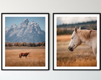 Grand Tetons Horse Photography Print, National Park Wall Art