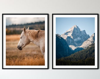 Grand Tetons National Park Photography Print: Wyoming Horse, Rustic Wall Art